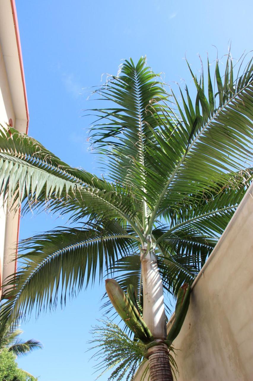 La Kazette - Votre Studio De Vacances A L Ile De La Reunion แซ็งต์หลุยส์ ภายนอก รูปภาพ